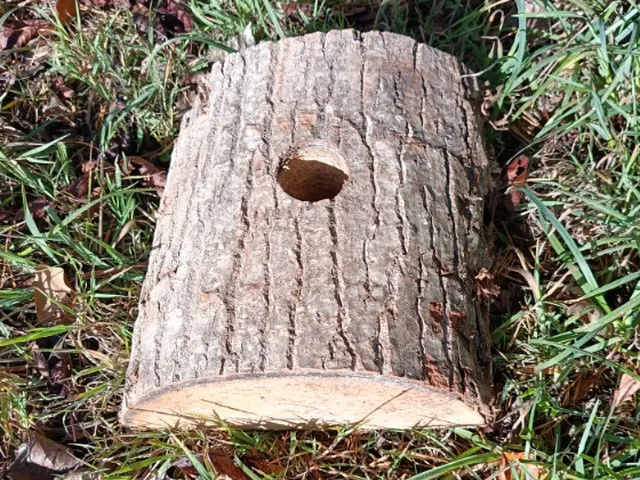 Socle en bois massif local : une bûche percée qui accueille le pied du sapin